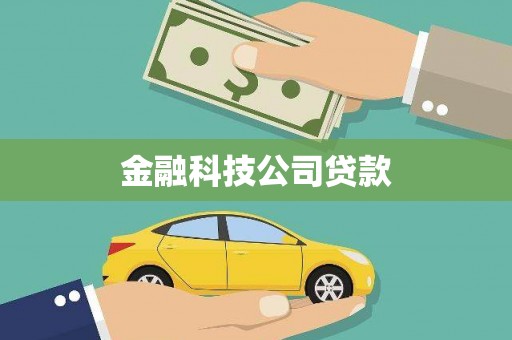 西峰金融科技公司贷款