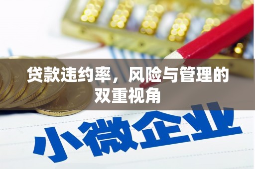 西峰贷款违约率，风险与管理的双重视角