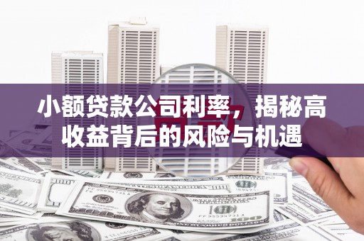西峰小额贷款公司利率，揭秘高收益背后的风险与机遇
