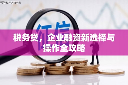 西峰税务贷，企业融资新选择与操作全攻略