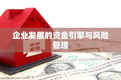 西峰企业发展的资金引擎与风险管理
