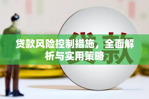 西峰贷款风险控制措施，全面解析与实用策略