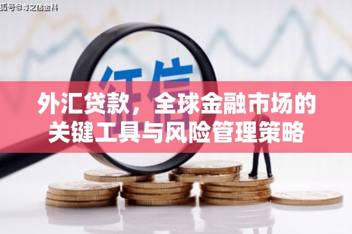 西峰外汇贷款，全球金融市场的关键工具与风险管理策略