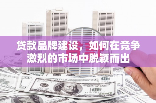 西峰贷款品牌建设，如何在竞争激烈的市场中脱颖而出