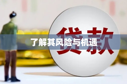 西峰了解其风险与机遇