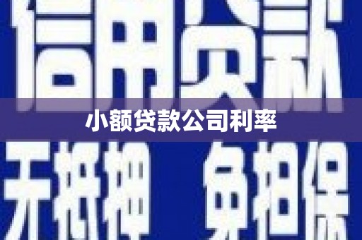 西峰小额贷款公司利率
