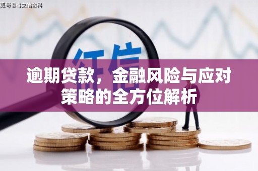 西峰逾期贷款，金融风险与应对策略的全方位解析