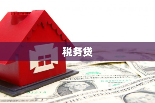 西峰税务贷