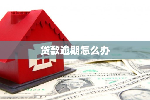 西峰贷款逾期怎么办