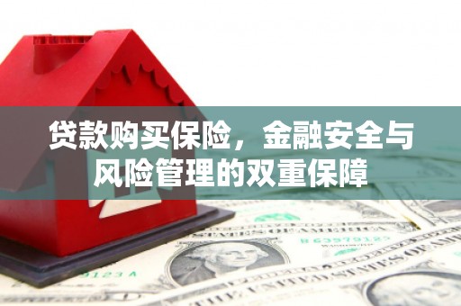 西峰贷款购买保险，金融安全与风险管理的双重保障