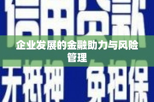 西峰企业发展的金融助力与风险管理