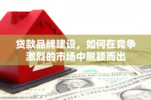 西峰贷款品牌建设，如何在竞争激烈的市场中脱颖而出