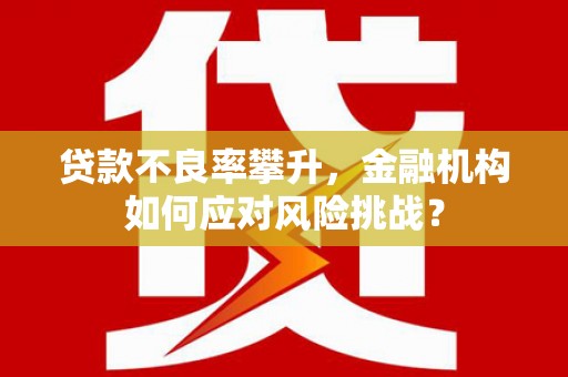 西峰贷款不良率攀升，金融机构如何应对风险挑战？