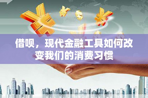 西峰借呗，现代金融工具如何改变我们的消费习惯