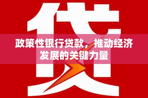 西峰政策性银行贷款，推动经济发展的关键力量