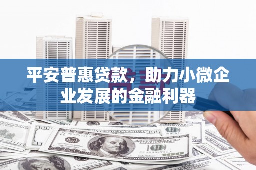 西峰平安普惠贷款，助力小微企业发展的金融利器