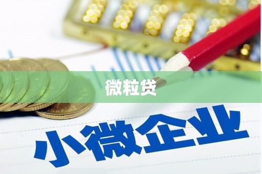 西峰微粒贷