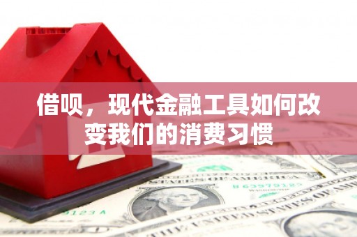 西峰借呗，现代金融工具如何改变我们的消费习惯