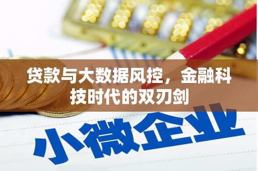 西峰贷款与大数据风控，金融科技时代的双刃剑