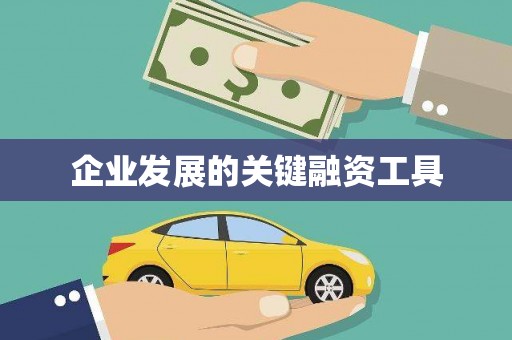 西峰企业发展的关键融资工具