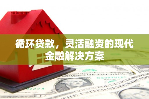 西峰循环贷款，灵活融资的现代金融解决方案