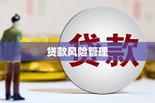 西峰贷款风险管理
