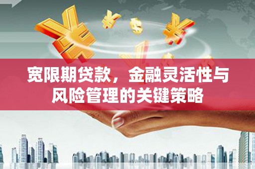 西峰宽限期贷款，金融灵活性与风险管理的关键策略