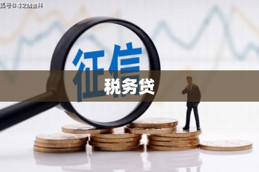 西峰税务贷