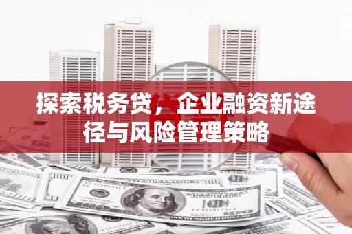 西峰探索税务贷，企业融资新途径与风险管理策略