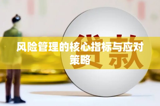 西峰风险管理的核心指标与应对策略