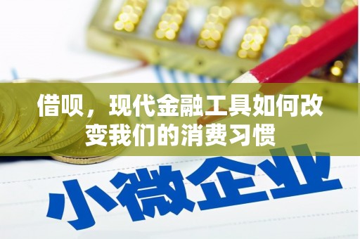 西峰借呗，现代金融工具如何改变我们的消费习惯