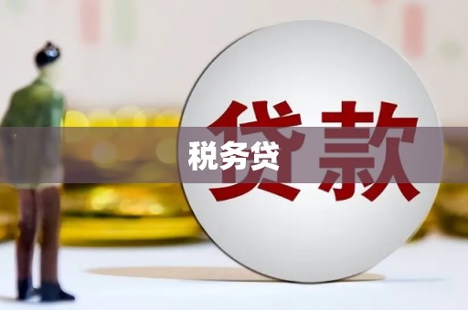 西峰税务贷