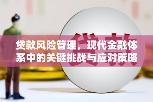 西峰贷款风险管理，现代金融体系中的关键挑战与应对策略