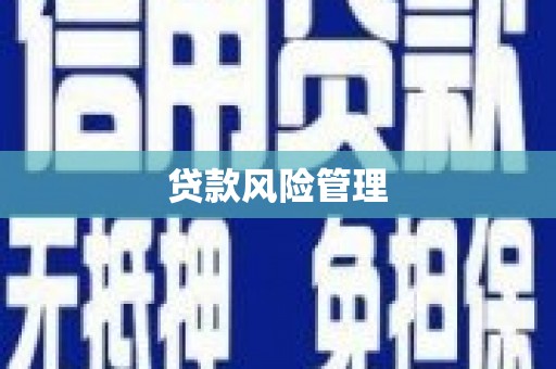 西峰贷款风险管理