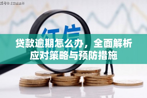 西峰贷款逾期怎么办，全面解析应对策略与预防措施