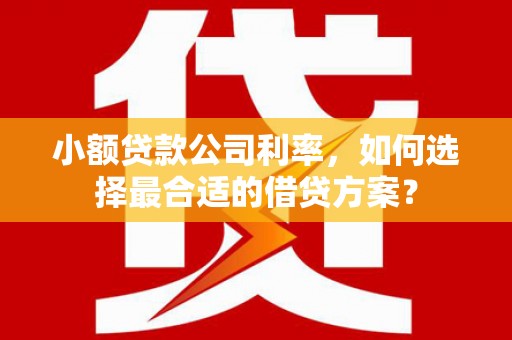 西峰小额贷款公司利率，如何选择最合适的借贷方案？
