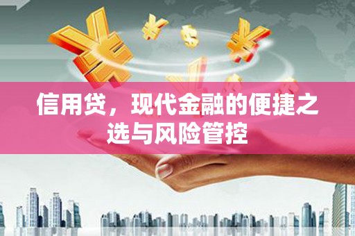 西峰信用贷，现代金融的便捷之选与风险管控