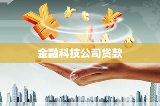 西峰金融科技公司贷款