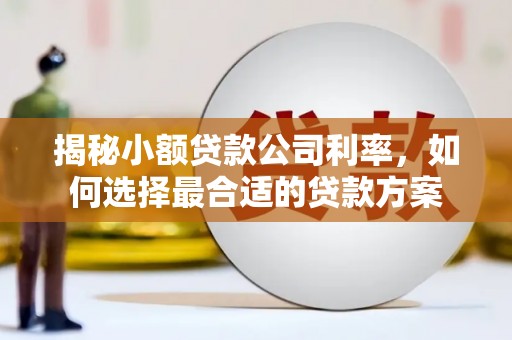 西峰揭秘小额贷款公司利率，如何选择最合适的贷款方案