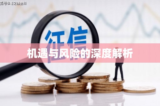 西峰机遇与风险的深度解析