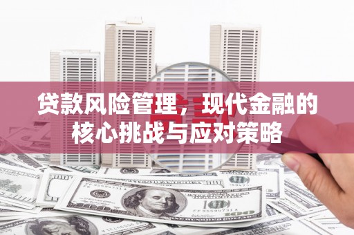 西峰贷款风险管理，现代金融的核心挑战与应对策略