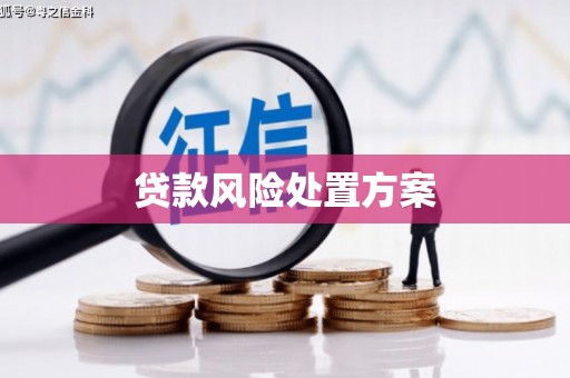西峰贷款风险处置方案