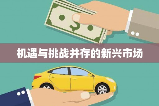 西峰机遇与挑战并存的新兴市场