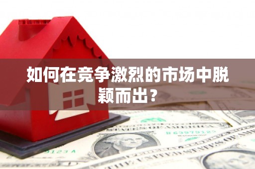 西峰如何在竞争激烈的市场中脱颖而出? 西峰如何在竞争激烈的市场中脱颖而出?