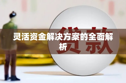 西峰灵活资金解决方案的全面解析